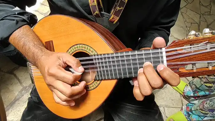 Características de la bandurria instrumento de cuerda pulsada 1 Persona tocando una bandurria española con púa.