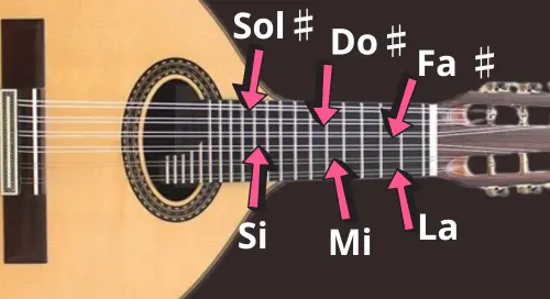 cuerdas de la bandurria Primer plano del mástil de una bandurria mostrando las posiciones de las notas musicales.