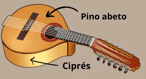 Descripción bandurria instrumento Ilustración de una bandurria con tapa de abeto y cuerpo de ciprés.